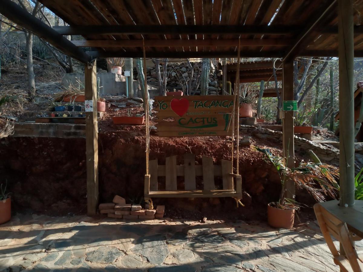 Hotel Cactus Taganga Dış mekan fotoğraf