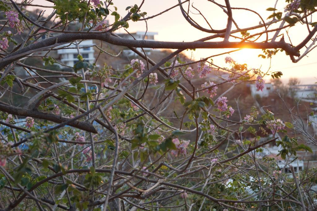 Hotel Cactus Taganga Dış mekan fotoğraf