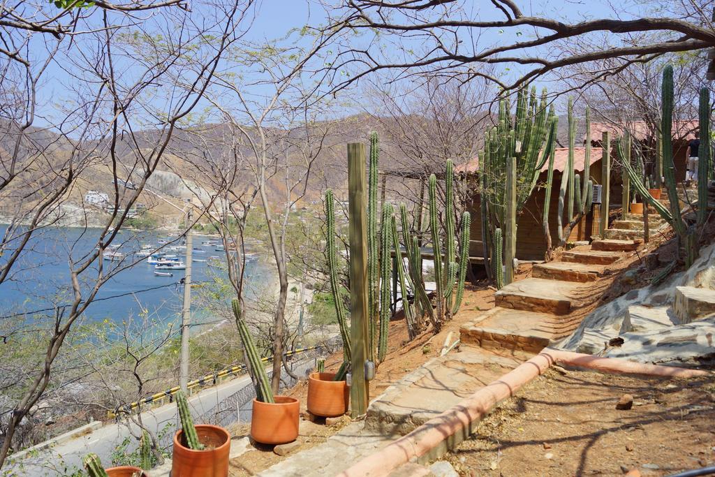 Hotel Cactus Taganga Dış mekan fotoğraf