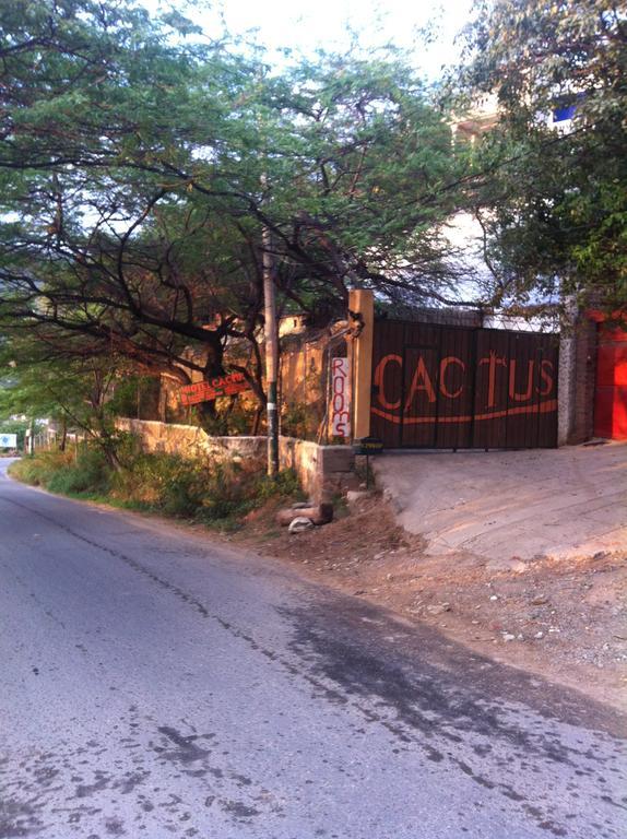 Hotel Cactus Taganga Oda fotoğraf